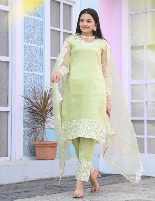 Designer Embroidered Organza Suit With Sequence Embroidered Work