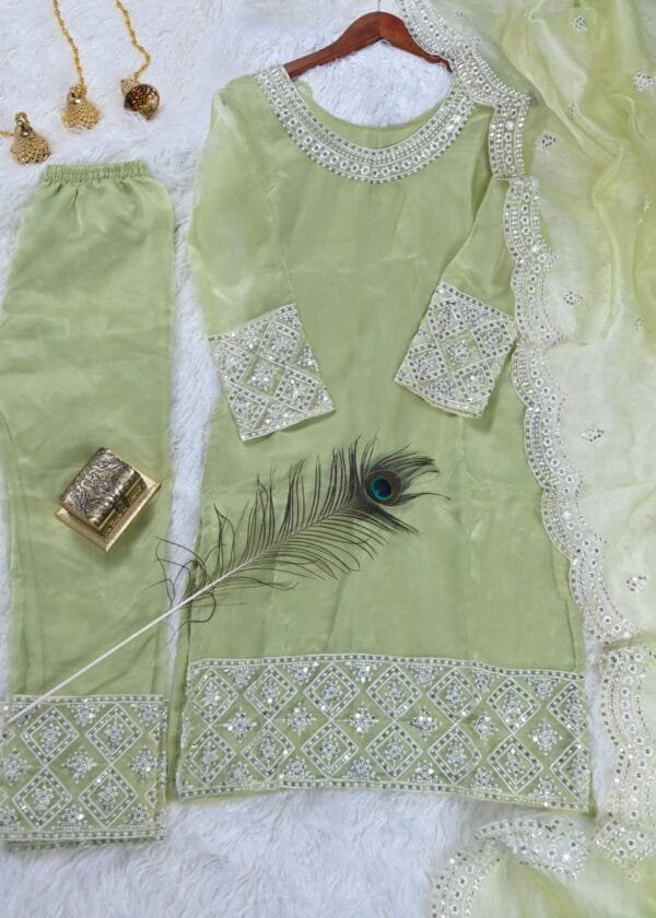 Designer Embroidered Organza Suit With Sequence Embroidered Work