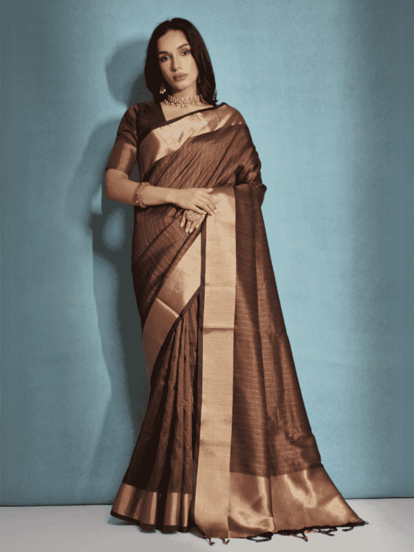 A soft Banarasi raw silk saree adorned with an elegant zari lining pattern, premium weaving, a zari border, and a beautifully designed zari pallu. Comes with a matching blouse piece.